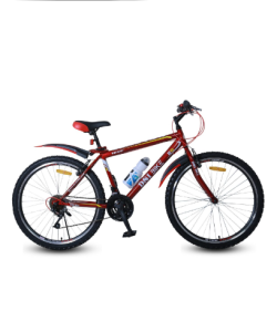 DSI 24" Single-Speed Bicycle