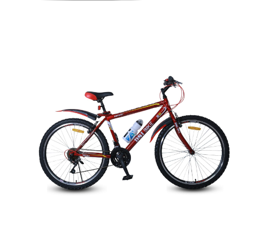 DSI 24" Single-Speed Bicycle